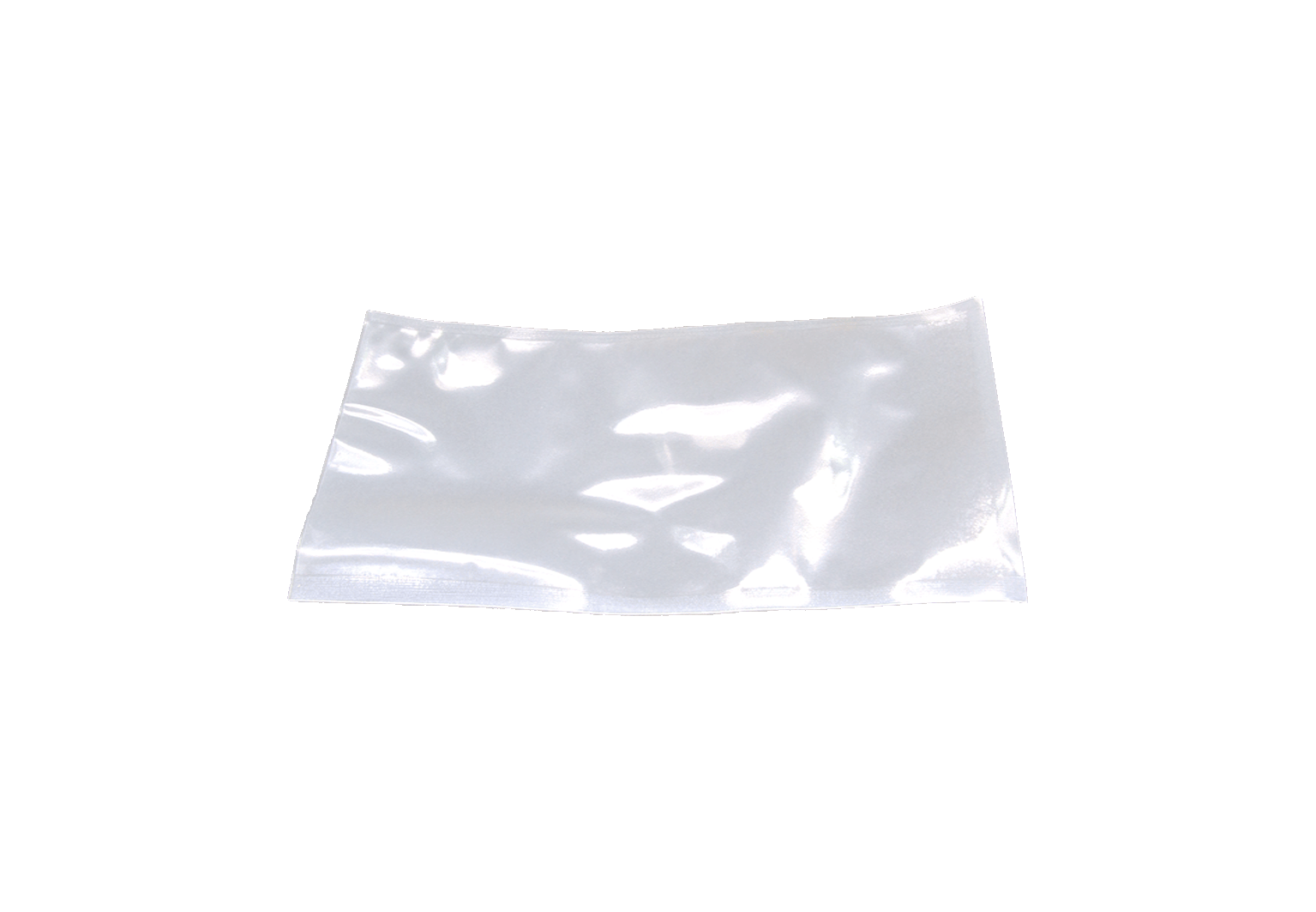 (1669)sachet sous vide 150 260.1