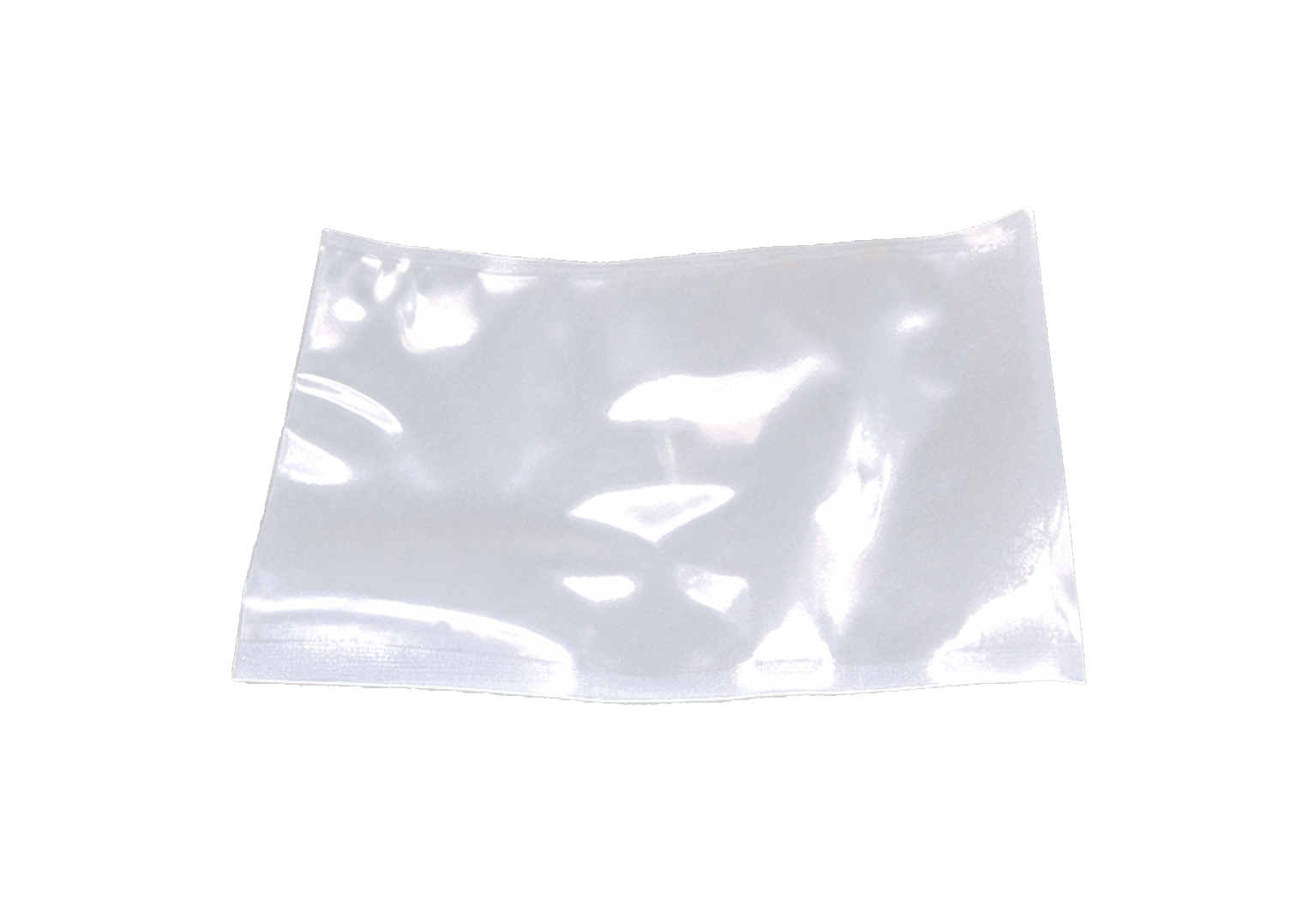 (1697)sachet sous vide 400 500.1