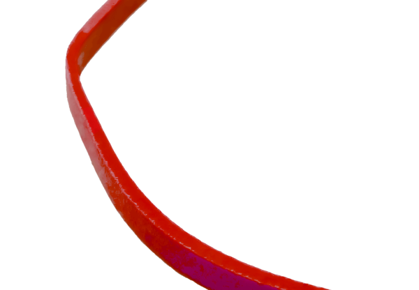 (2690)elastique Pour Vacherin 120x3mm Rouge.2