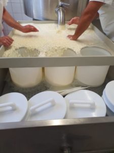 Conception de bacs de moulage – sur mesure Kämpf fournitures laitières Sàrl
