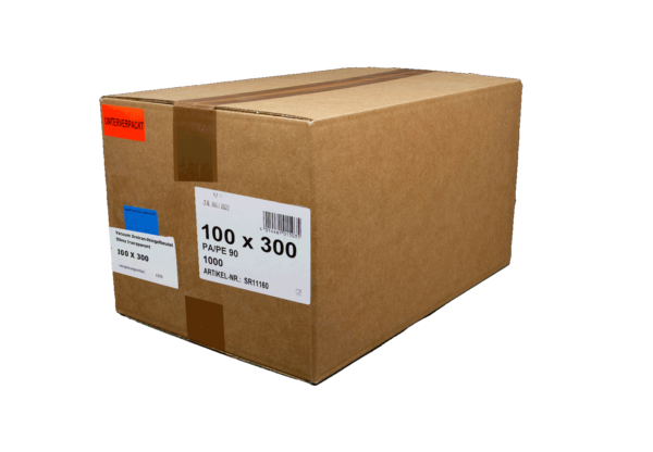 (3197)sachet sous vide100 300.2 copie
