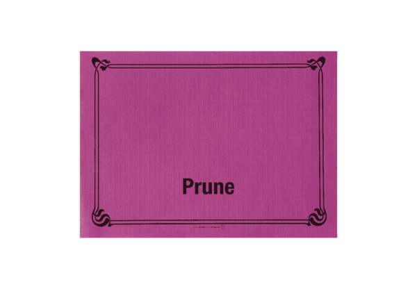 (3253) set de table prune.2