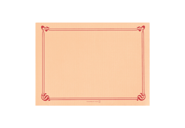 (3364) set de table saumon.png.2
