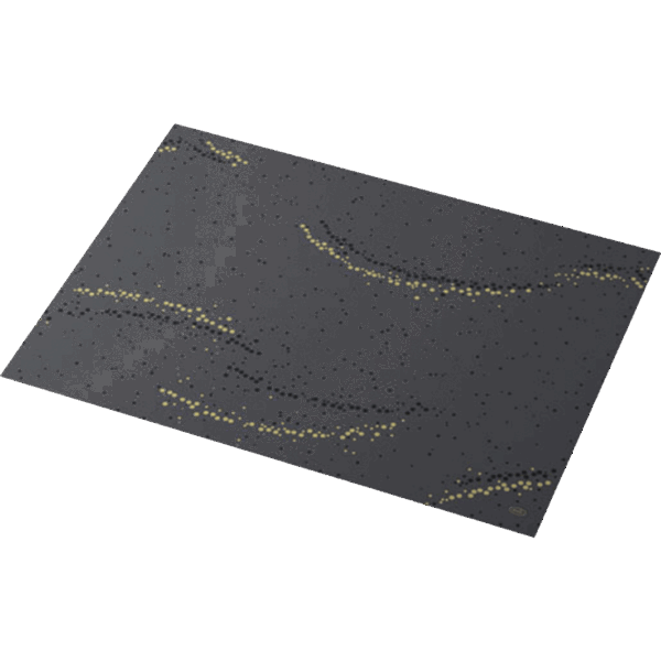 (3479)set de table dunicelgoldenstardustblack