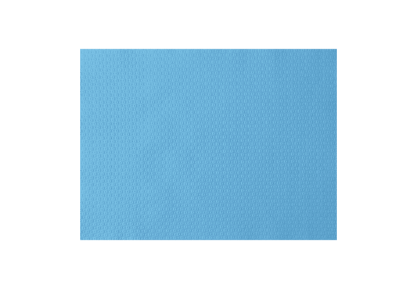 (3351)set de table menthe sans cadre .2