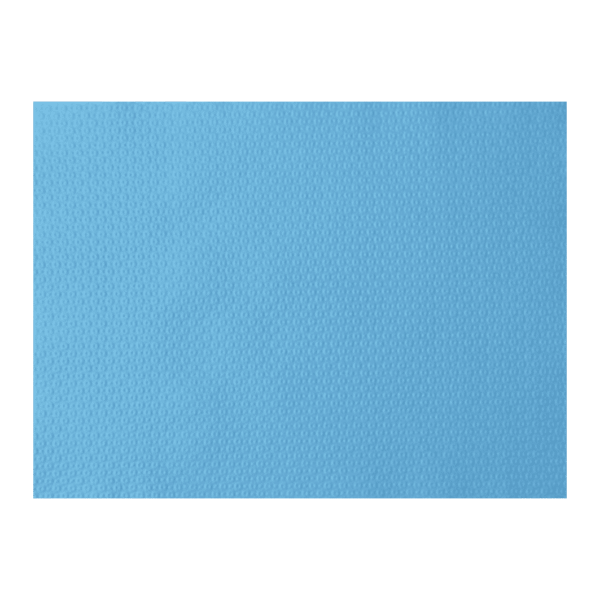 (3351)set de table menthe sans cadre .2