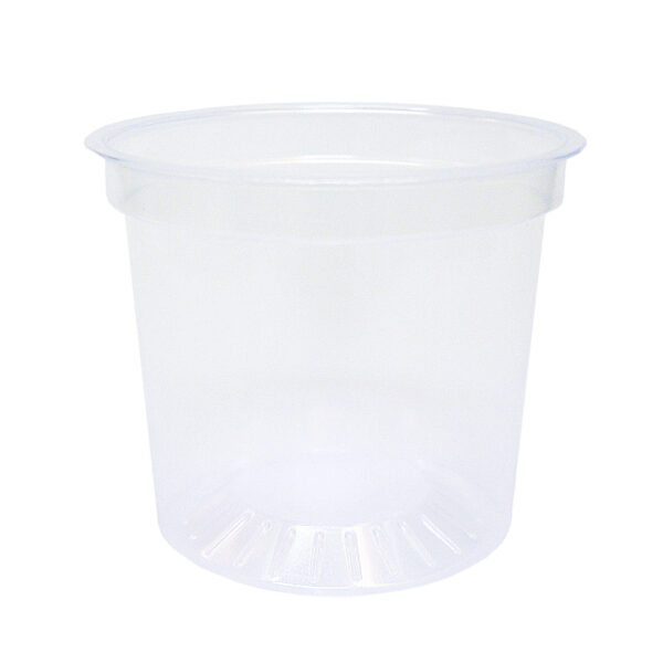 Gobelet Translucide 0809.100.0000.01